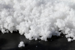 fleur de sel de guérande1